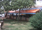 gölgelik mersin